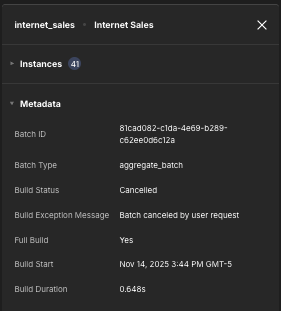 The Metadata section of the build details panel.
