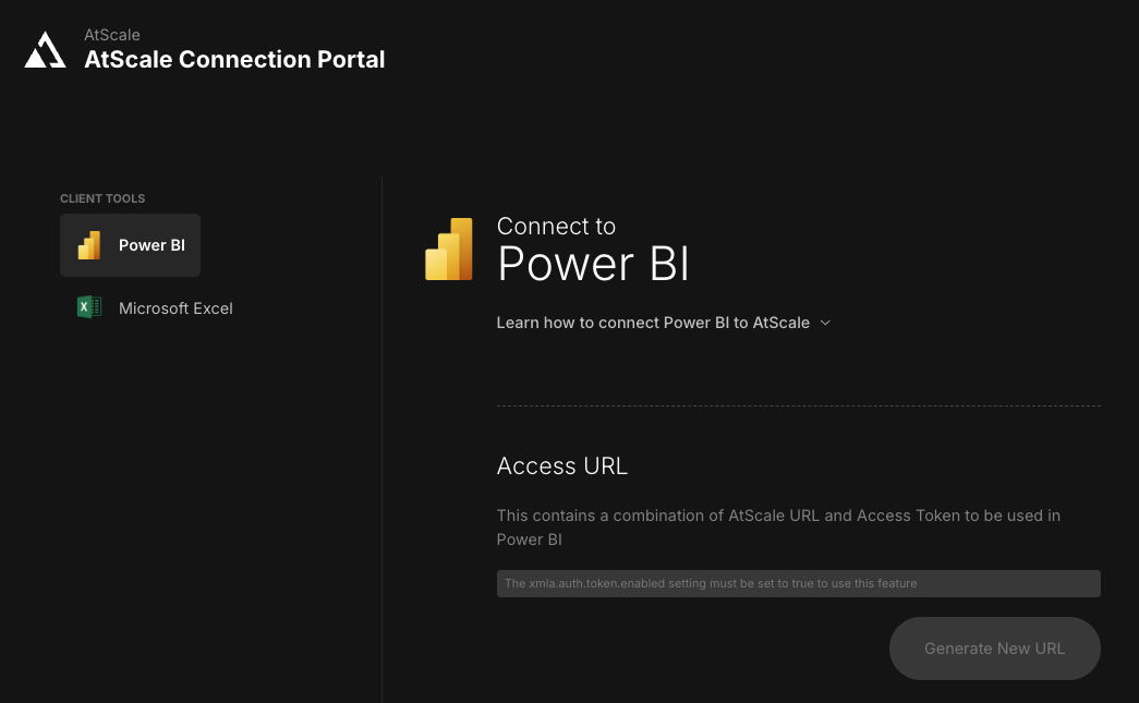 The AtScale Connection Portal.